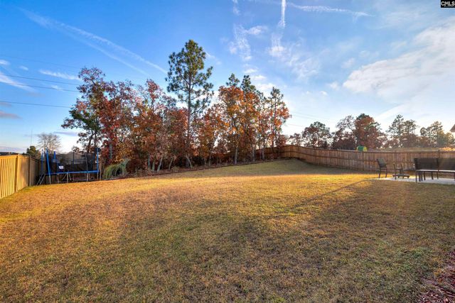 29 Coltswood Ln, Elgin, SC 29045