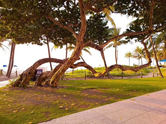 32 NE 22nd Avenue 207, Pompano Beach, FL 33062