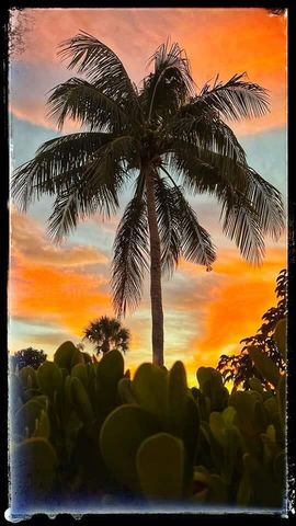 32 NE 22nd Avenue 207, Pompano Beach, FL 33062