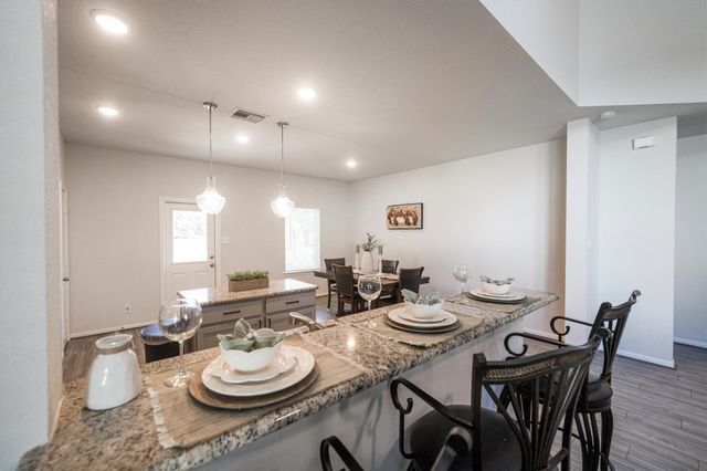 1114 Nero Palace, New Caney, TX 77357