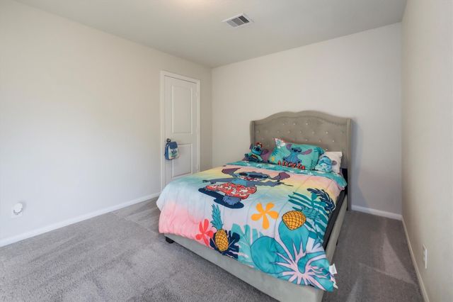 1114 Nero Palace, New Caney, TX 77357