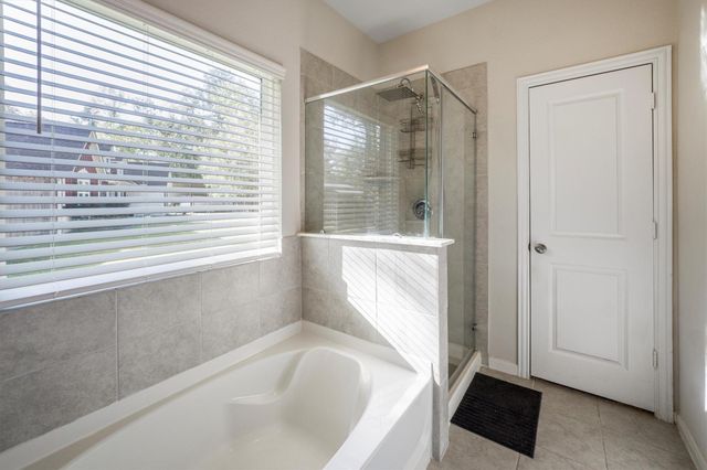 1114 Nero Palace, New Caney, TX 77357