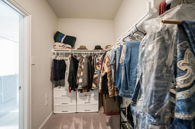 1114 Nero Palace, New Caney, TX 77357