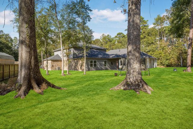 1114 Nero Palace, New Caney, TX 77357