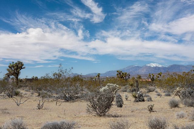 60531 Cielito Drive, Joshua Tree, CA 92252