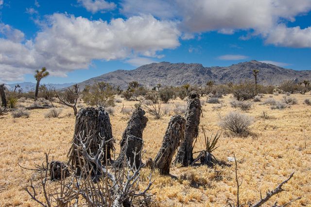 60531 Cielito Drive, Joshua Tree, CA 92252