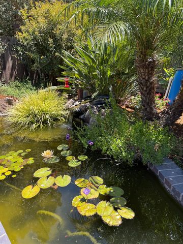 9881 Turtle Dove Ct, Elk Grove, CA 95624