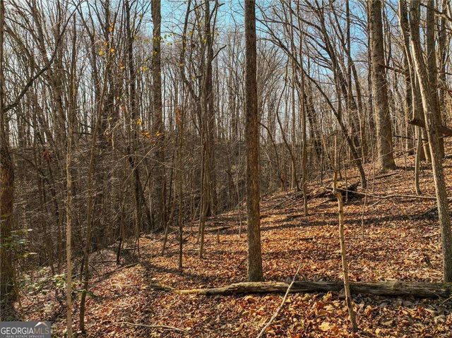 LOT 5 Mount Mincie Road, Murrayville, GA 30564