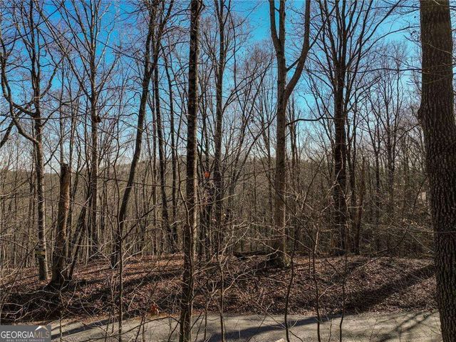 LOT 5 Mount Mincie Road, Murrayville, GA 30564