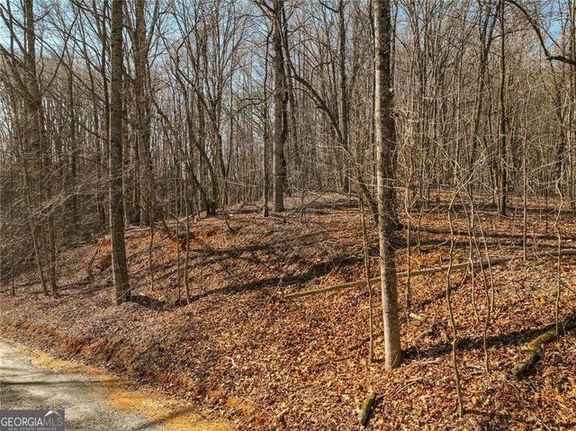 LOT 5 Mount Mincie Road, Murrayville, GA 30564