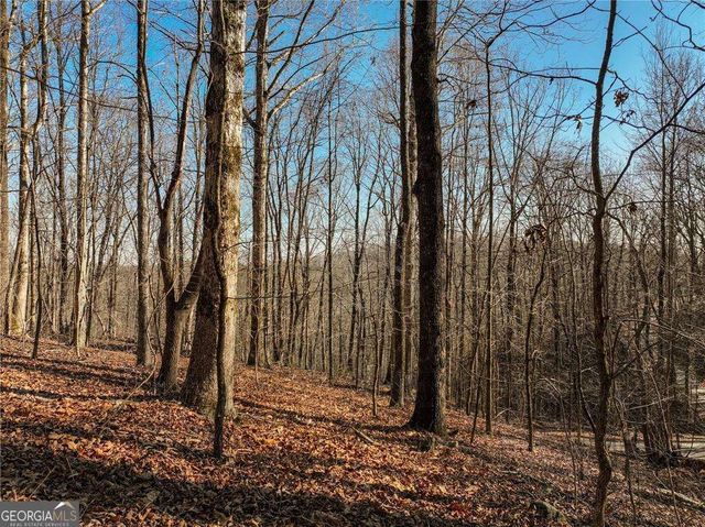LOT 5 Mount Mincie Road, Murrayville, GA 30564