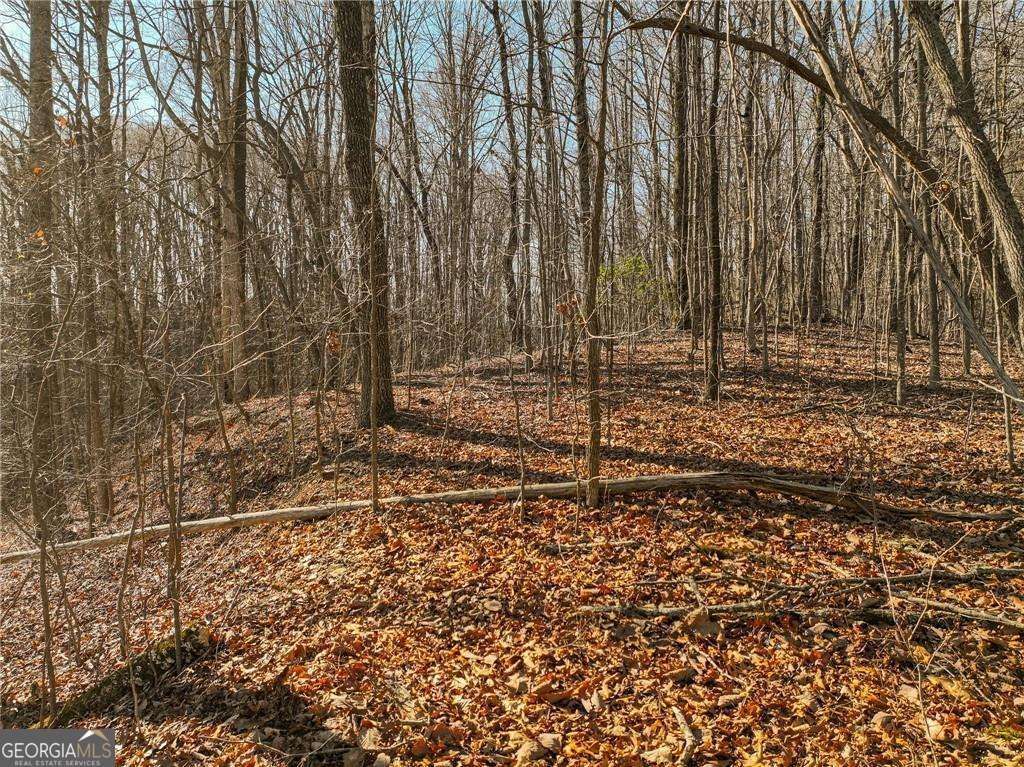 LOT 5 Mount Mincie Road, Murrayville, GA 30564