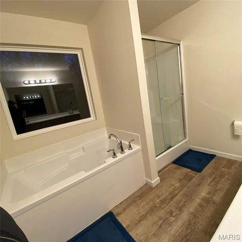 164 Hartford Court, Fenton, MO 63026