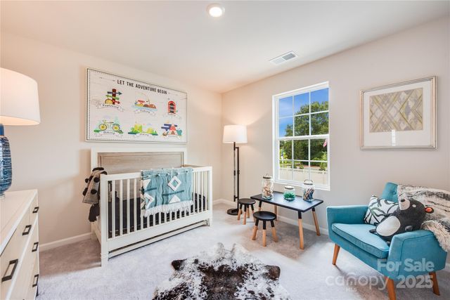 10010 Chatham Run Lane, Charlotte, NC 28262