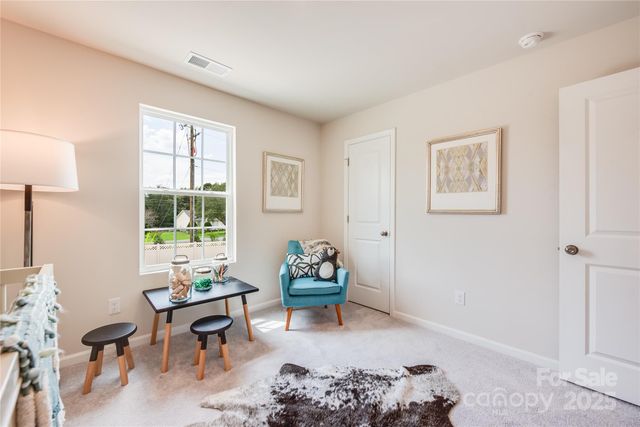 10010 Chatham Run Lane, Charlotte, NC 28262