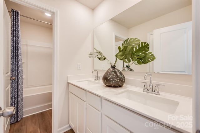 10010 Chatham Run Lane, Charlotte, NC 28262