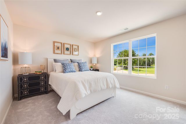 10010 Chatham Run Lane, Charlotte, NC 28262