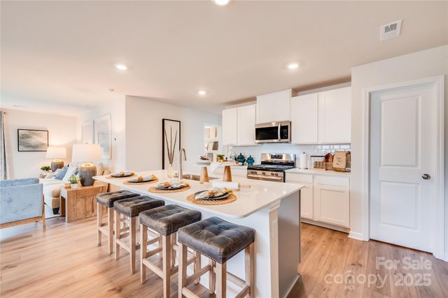 10010 Chatham Run Lane, Charlotte, NC 28262