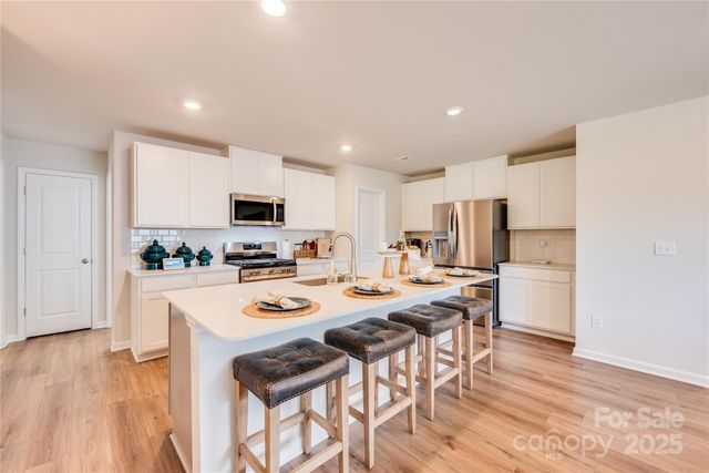 10010 Chatham Run Lane, Charlotte, NC 28262