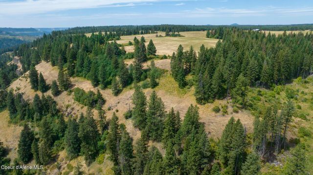 1605 Jasmine Ln, Parcels 16 & 17, Weippe, ID 83553