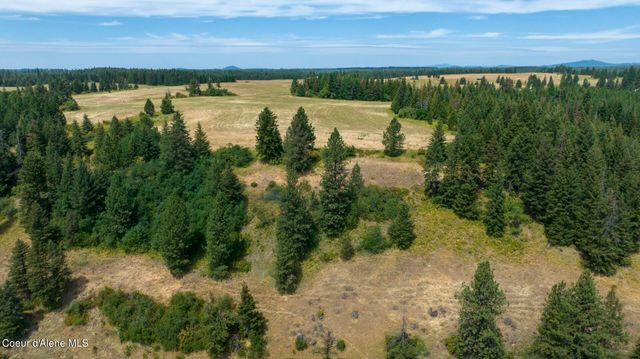 1605 Jasmine Ln, Parcels 16 & 17, Weippe, ID 83553