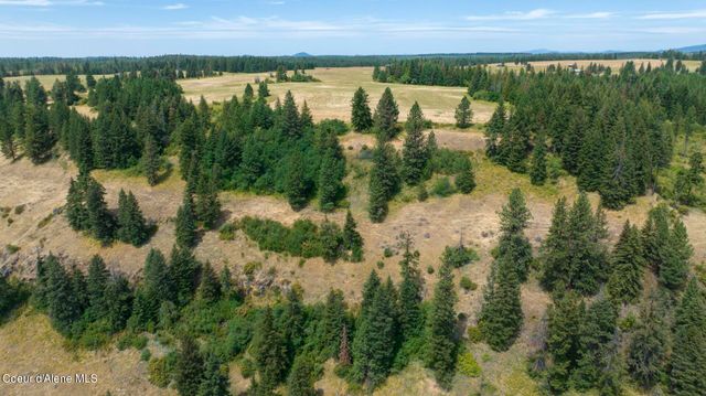 1605 Jasmine Ln, Parcels 16 & 17, Weippe, ID 83553