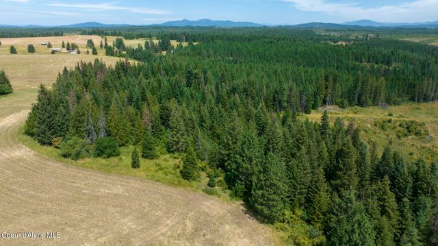 1605 Jasmine Ln, Parcels 16 & 17, Weippe, ID 83553