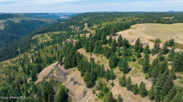1605 Jasmine Ln, Parcels 16 & 17, Weippe, ID 83553