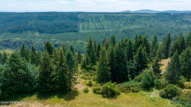 1605 Jasmine Ln, Parcels 16 & 17, Weippe, ID 83553