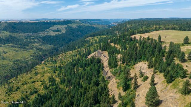 1605 Jasmine Ln, Parcels 16 & 17, Weippe, ID 83553