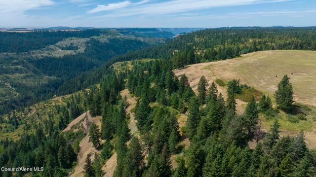 1605 Jasmine Ln, Parcels 16 & 17, Weippe, ID 83553