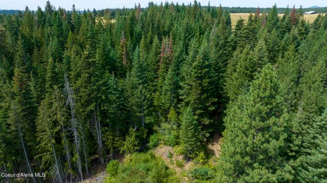 1605 Jasmine Ln, Parcels 16 & 17, Weippe, ID 83553