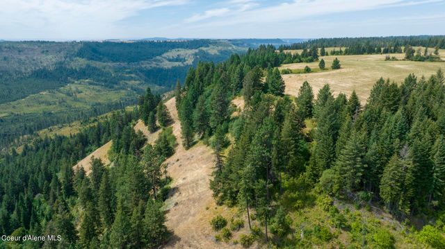 1605 Jasmine Ln, Parcels 16 & 17, Weippe, ID 83553