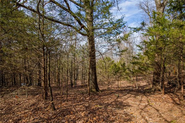 Dinsmore Trail, Fayetteville, AR 72701