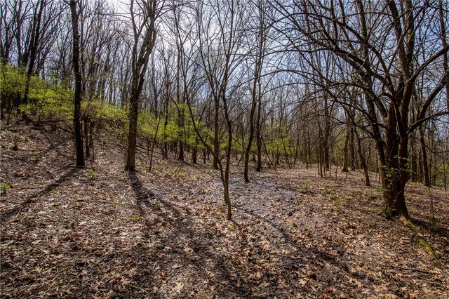 Dinsmore Trail, Fayetteville, AR 72701
