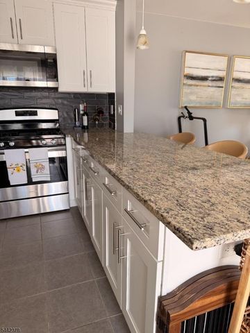 Lily Court, Roselle Boro, NJ 07203
