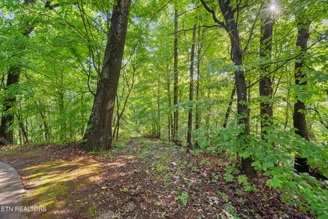 6329 Mountain Laurel Rd, Knoxville, TN 37924