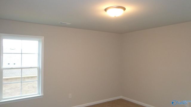 208 Toney School Road, Toney, AL 35773