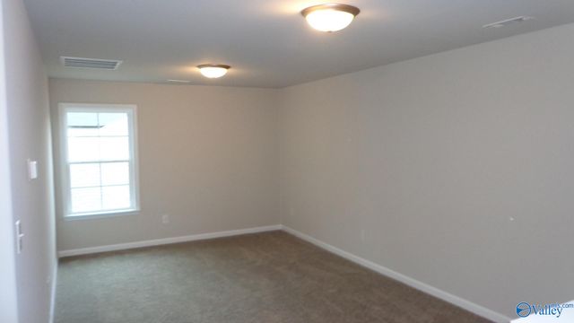 208 Toney School Road, Toney, AL 35773