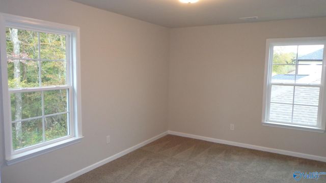 208 Toney School Road, Toney, AL 35773