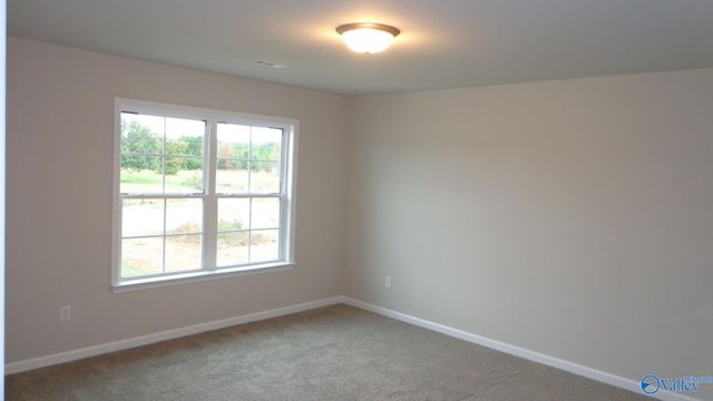 208 Toney School Road, Toney, AL 35773