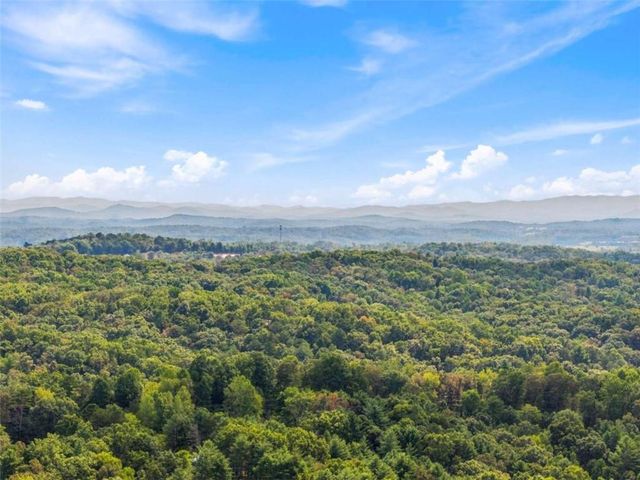 250 Mccollum Road, Ellijay, GA 30540