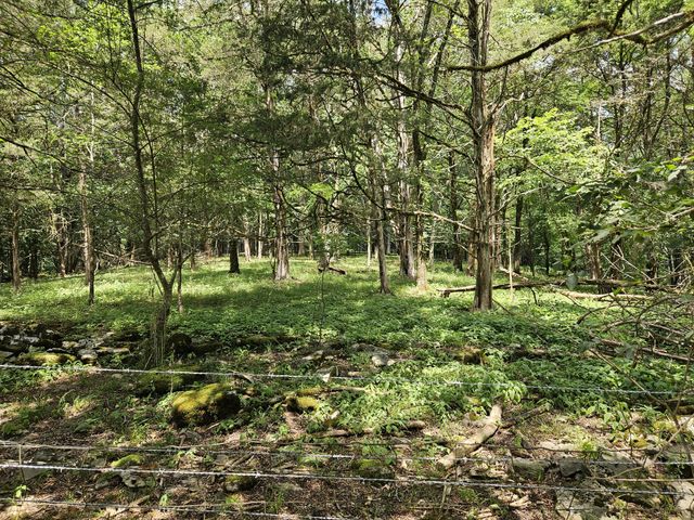 294 Lakeside Dr, Carthage, TN 37030