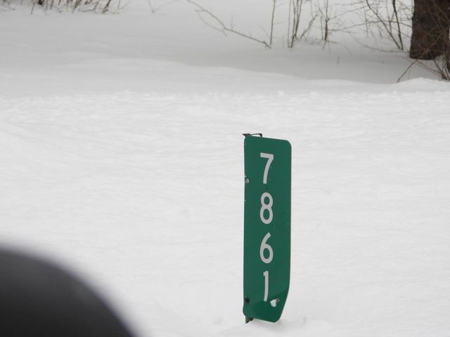 7861 N Bass Lake Road, Elk Twp, MI 49644