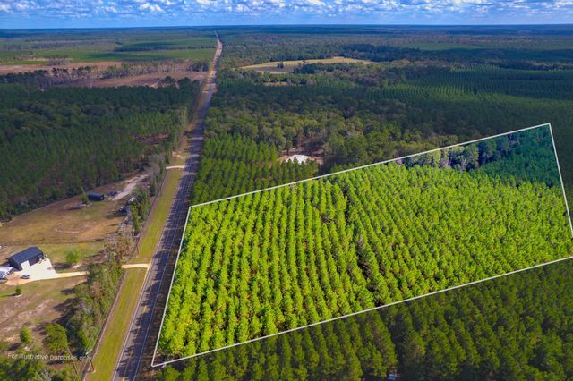 LOT 6 Fm 943, Livingston, TX 77351