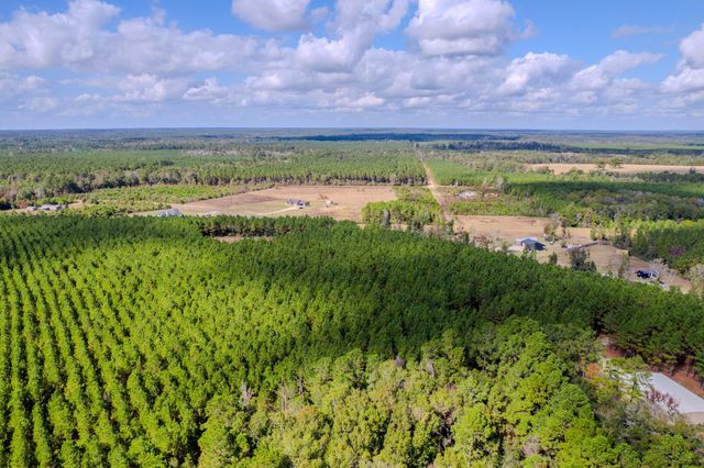 LOT 6 Fm 943, Livingston, TX 77351