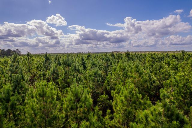 LOT 6 Fm 943, Livingston, TX 77351