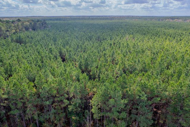 LOT 6 Fm 943, Livingston, TX 77351