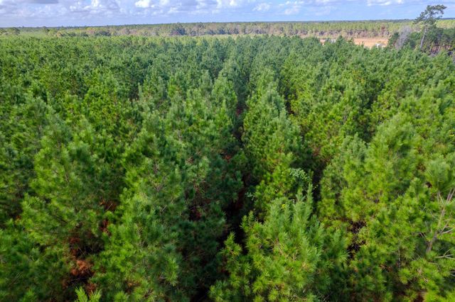 LOT 6 Fm 943, Livingston, TX 77351