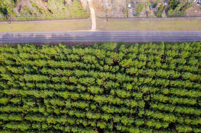 LOT 6 Fm 943, Livingston, TX 77351